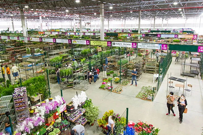 Ceaflor, mercado de flores e plantas ornamentais em Holambra — City Tour CHM Transportes