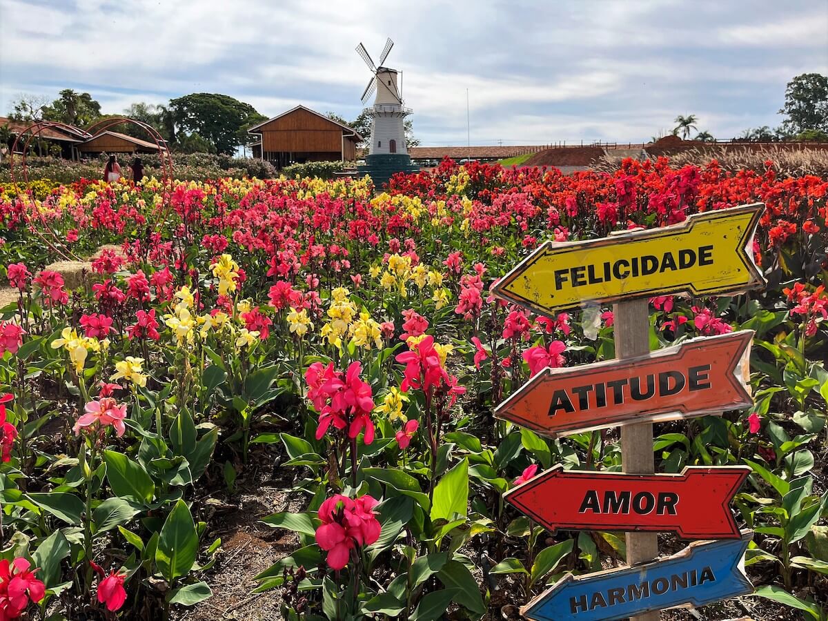 Jardim florido de Holambra, com moinho ao fundo e placas de “Felicidade”, “Amor” e “Harmonia” — City Tour CHM Transportes