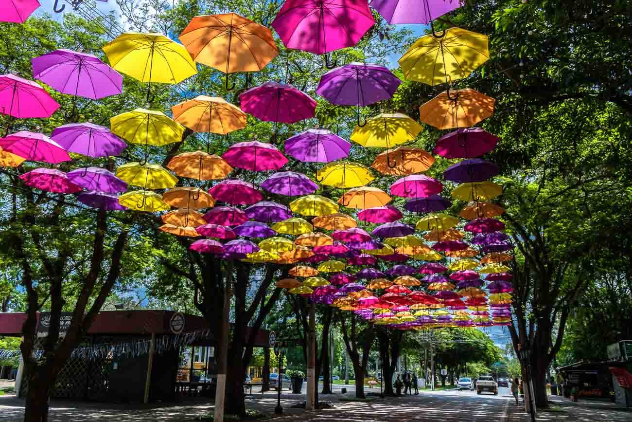Corredor de guarda-chuvas coloridos, em Holambra — City Tour CHM Transportes