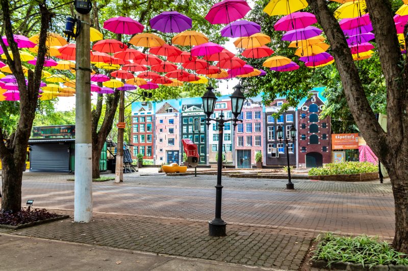 Guarda-chuvas suspensos formando um corredor colorido, em Holambra — City Tour CHM Transportes