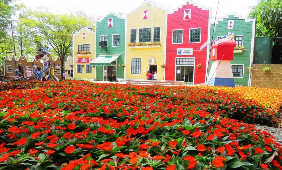 Flores e plantas ornamentais de Holambra, a capital nacional das flores — City Tour CHM Transportes