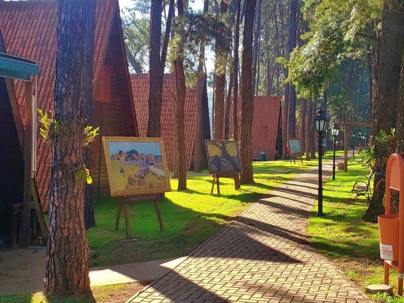 Campos de girassóis do Parque Van Gogh, em Holambra — City Tour CHM Transportes