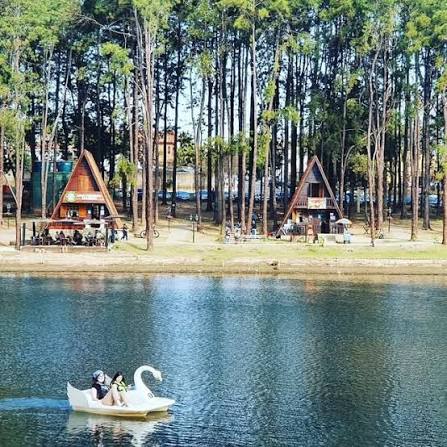 Parque Van Gogh, com campos floridos, em Holambra — City Tour CHM Transportes
